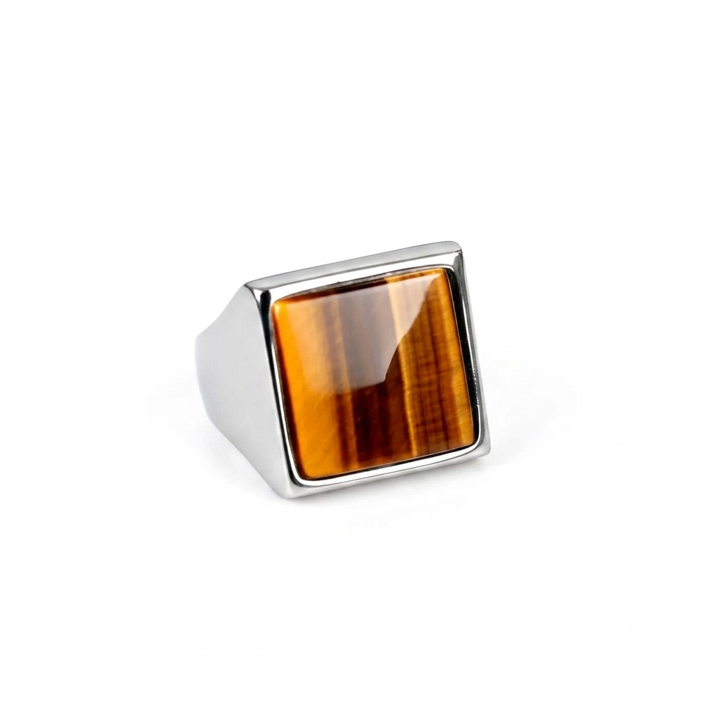 L'Anello Che Non Segue. Guida